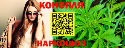 гашик Ликино-Дулёво