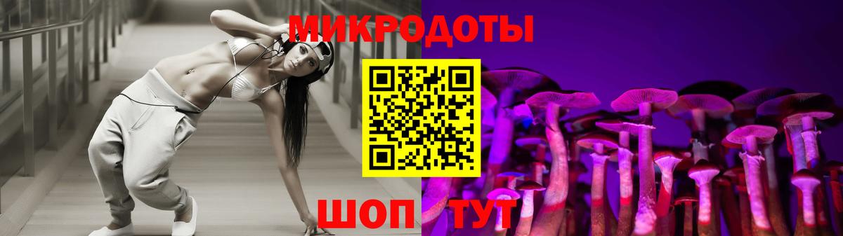 Губкин  Галлюциногенные грибы ЛСД  хочу наркоту  Галлюциногенные грибы Psilocybe  Вход с VPN 